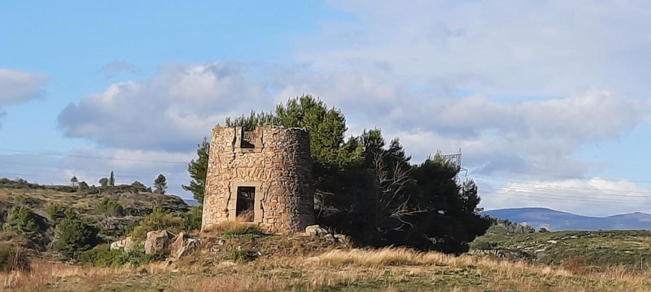 Le Coq Du Nord - Mailhac Gite Et Chambres D'Hotes Buitenkant foto