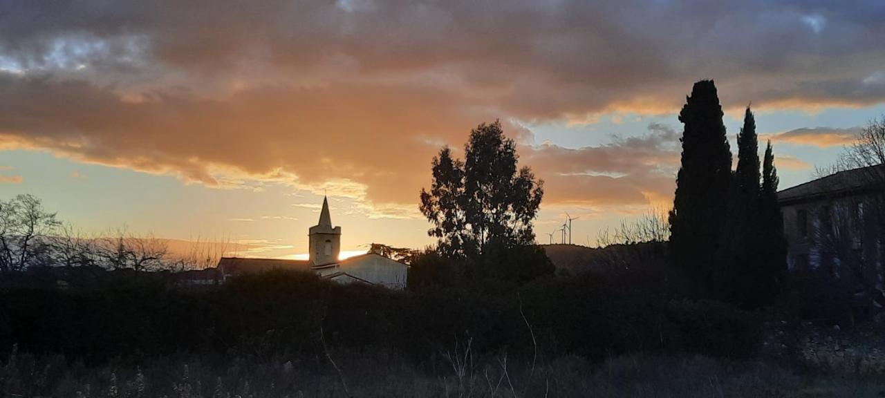 Le Coq Du Nord - Mailhac Gite Et Chambres D'Hotes Buitenkant foto
