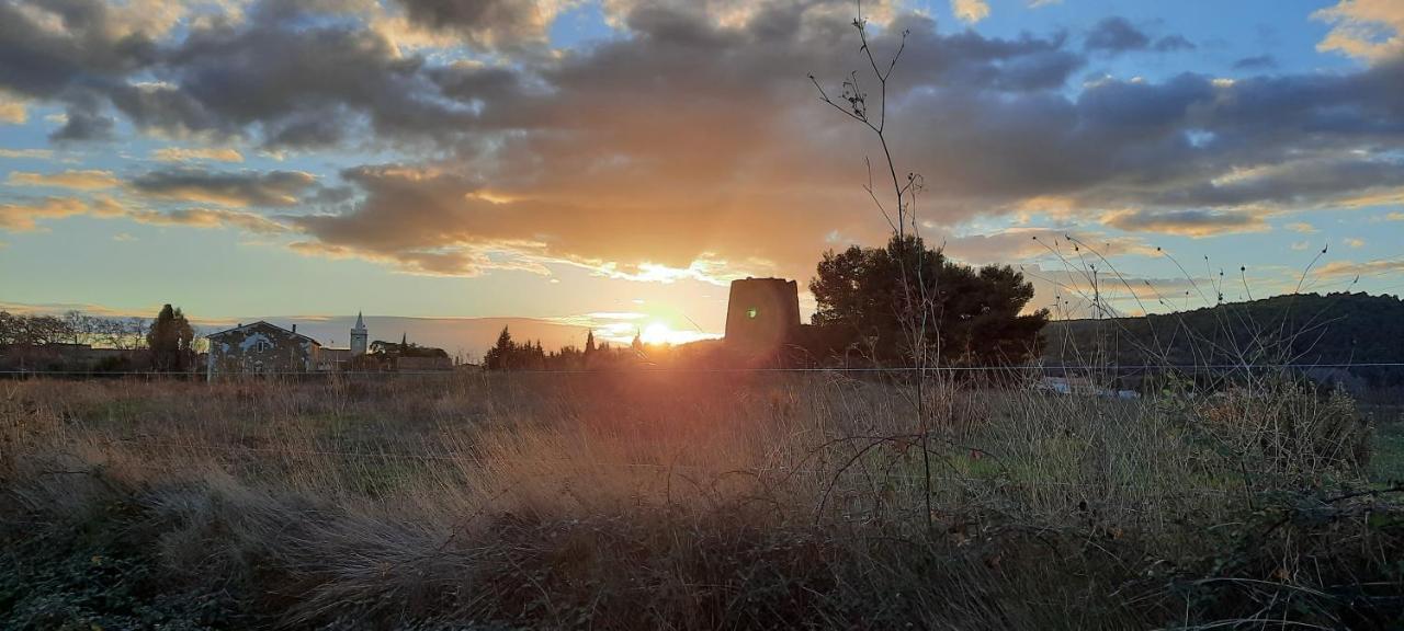 Le Coq Du Nord - Mailhac Gite Et Chambres D'Hotes Buitenkant foto