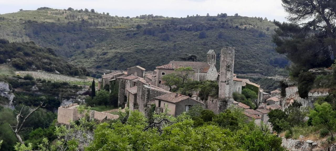 Le Coq Du Nord - Mailhac Gite Et Chambres D'Hotes Buitenkant foto