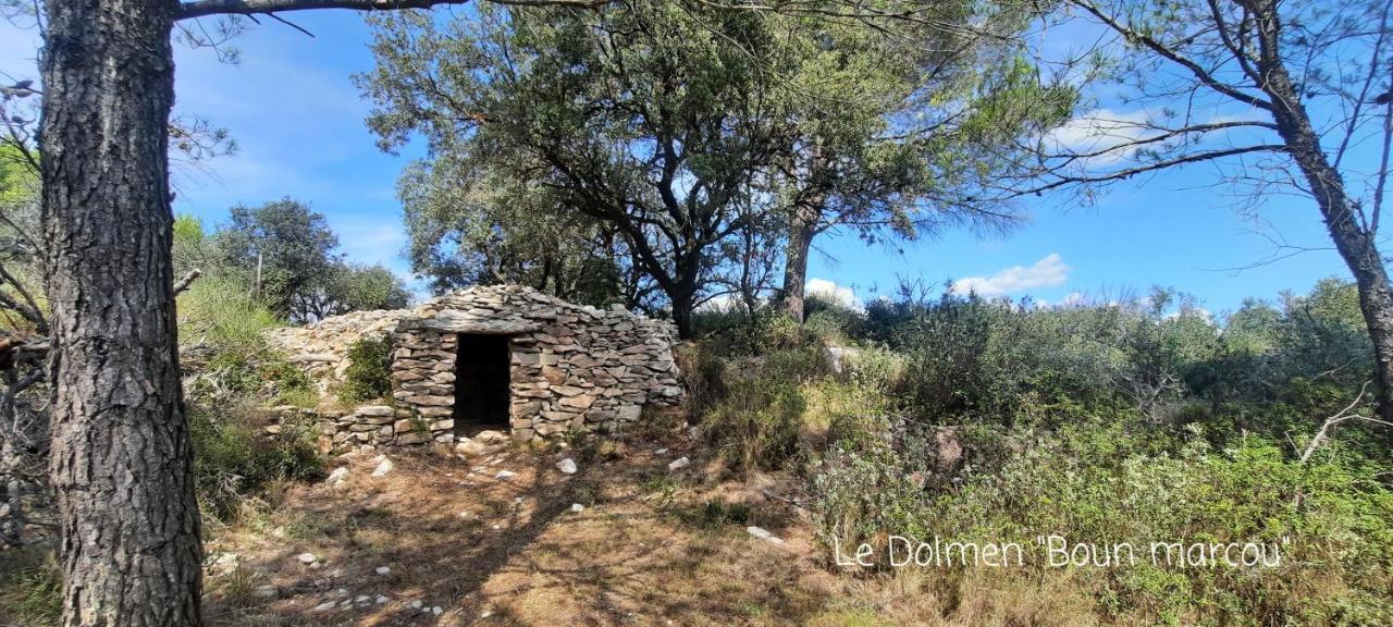 Le Coq Du Nord - Mailhac Gite Et Chambres D'Hotes Buitenkant foto